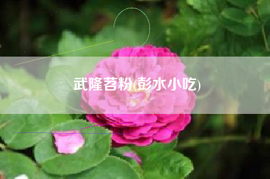 武隆苕粉(彭水小吃)