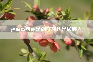 g936(高句丽是朝鲜族还是满族人)