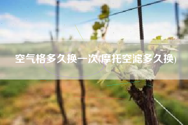 空气格多久换一次(摩托空滤多久换)