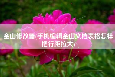 金山修改器(手机编辑金山文档表格怎样把行距拉大)