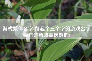 游戏繁体名字(帮起个三个字的游戏名字要有诗意唯美伤感的)