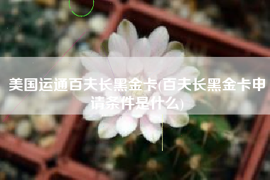 美国运通百夫长黑金卡(百夫长黑金卡申请条件是什么)