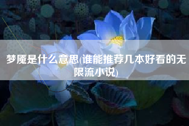 梦魇是什么意思(谁能推荐几本好看的无限流小说)