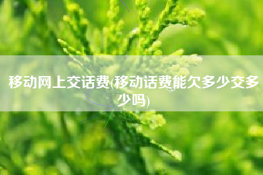 移动网上交话费(移动话费能欠多少交多少吗)