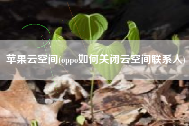 苹果云空间(oppo如何关闭云空间联系人)
