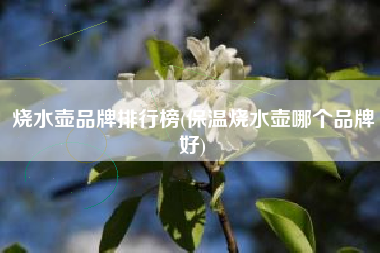 烧水壶品牌排行榜(保温烧水壶哪个品牌好)