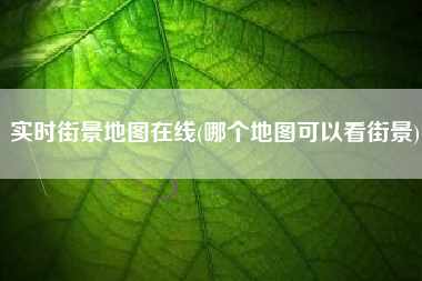 实时街景地图在线(哪个地图可以看街景)