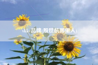 vkke品牌(殷世航哪里人)