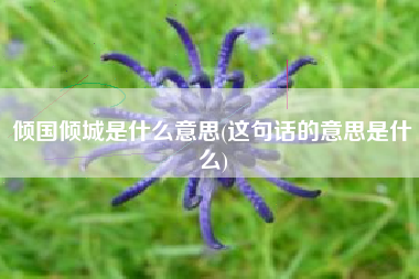 详细阅读:倾国倾城是什么意思(这句话的意思是什么) 倾国倾城是什么意思(这句话的意思是什么)