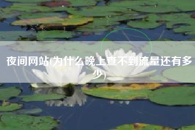 夜间网站(为什么晚上查不到流量还有多少)