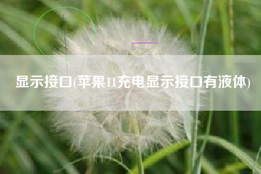 显示接口(苹果11充电显示接口有液体)