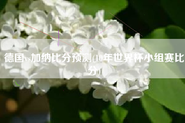 德国vs加纳比分预测(10年世界杯小组赛比分)