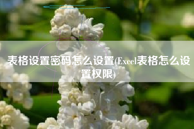 表格设置密码怎么设置(Excel表格怎么设置权限)