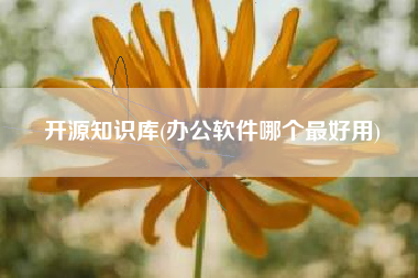 开源知识库(办公软件哪个最好用)