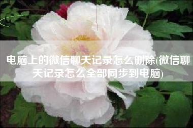电脑上的微信聊天记录怎么删除(微信聊天记录怎么全部同步到电脑)