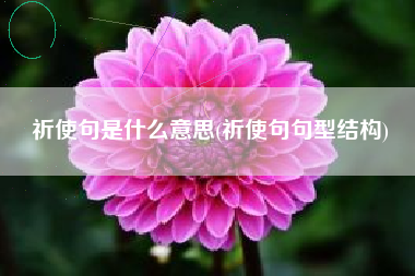 祈使句是什么意思(祈使句句型结构)