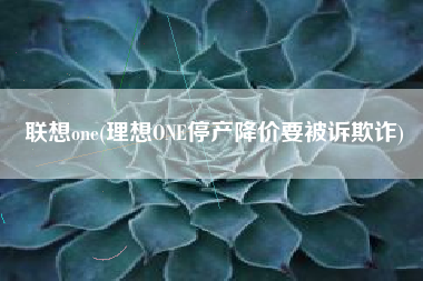 联想one(理想ONE停产降价要被诉欺诈)