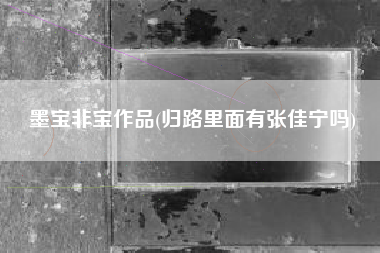 墨宝非宝作品(归路里面有张佳宁吗)