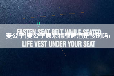 麦公子(麦公子原浆精酿啤酒是酸的吗)