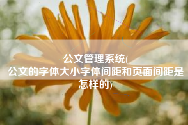 公文管理系统(
公文的字体大小字体间距和页面间距是怎样的) 公文管理系统(
公文的字体大小字体间距和页面间距是怎样的)
