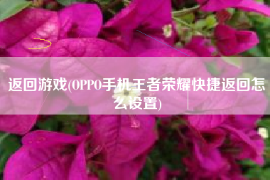 返回游戏(OPPO手机王者荣耀快捷返回怎么设置)