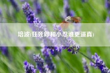 培波(狂死郎和小忍谁更逼真)