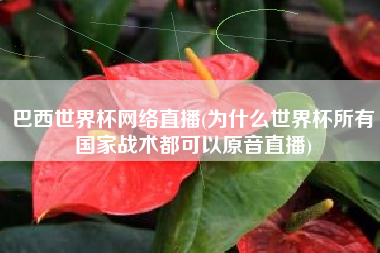 巴西世界杯网络直播(为什么世界杯所有国家战术都可以原音直播)