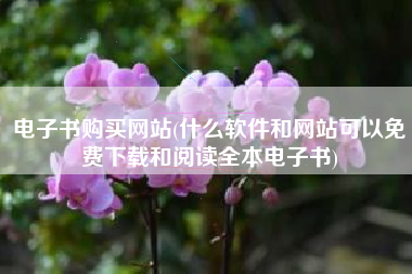 电子书购买网站(什么软件和网站可以免费下载和阅读全本电子书)