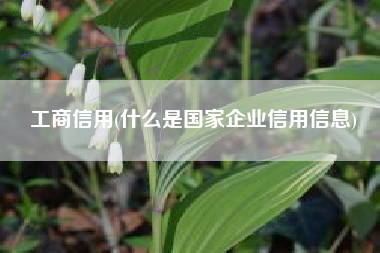 工商信用(什么是国家企业信用信息)