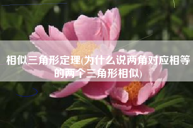 相似三角形定理(为什么说两角对应相等的两个三角形相似)