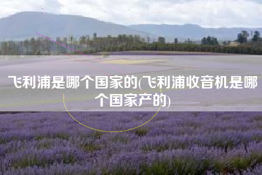 飞利浦是哪个国家的(飞利浦收音机是哪个国家产的)