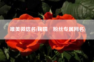 详细阅读:唯美微信名(鞠婧祎粉丝专属网名) 唯美微信名(鞠婧祎粉丝专属网名)