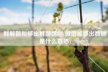 群解散和移出群聊区别(微信被移出群聊是什么意思)