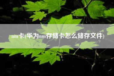 nm卡(华为nm存储卡怎么储存文件)