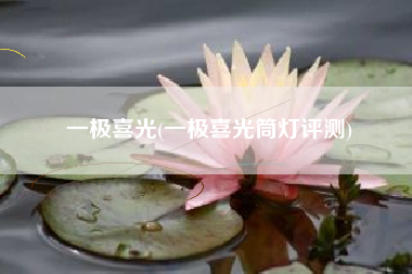 一极喜光(一极喜光筒灯评测)