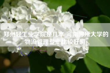 郑州轻工业学院是几本(河南哪所大学的物流管理专业比较好啊)