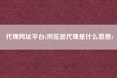 代理网址平台(浏览器代理是什么意思)