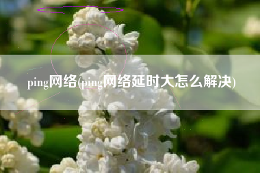 ping网络(ping网络延时大怎么解决)