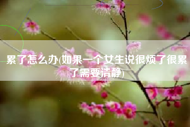 累了怎么办(如果一个女生说很烦了很累了需要清静)