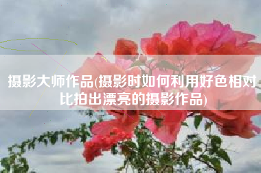 摄影大师作品(摄影时如何利用好色相对比拍出漂亮的摄影作品)