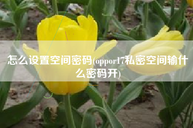 怎么设置空间密码(oppor17私密空间输什么密码开)