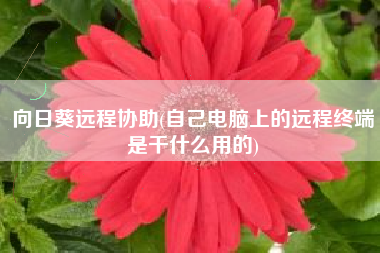向日葵远程协助(自己电脑上的远程终端是干什么用的)
