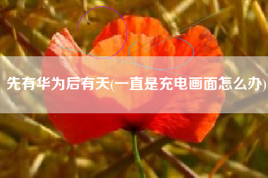 详细阅读:先有华为后有天(一直是充电画面怎么办) 先有华为后有天(一直是充电画面怎么办)
