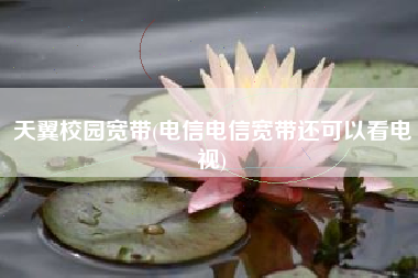 天翼校园宽带(电信电信宽带还可以看电视)