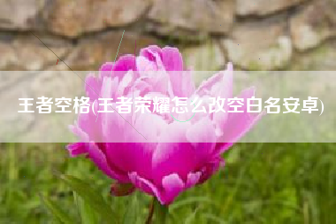 王者空格(王者荣耀怎么改空白名安卓)