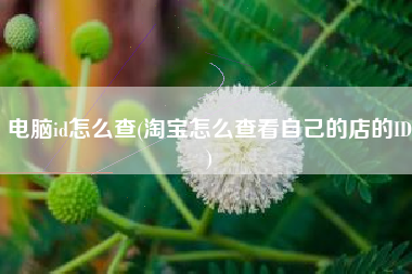 电脑id怎么查(淘宝怎么查看自己的店的ID)