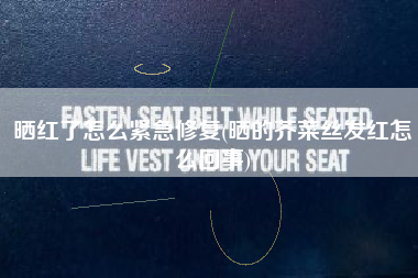 晒红了怎么紧急修复(晒的芥菜丝发红怎么回事)