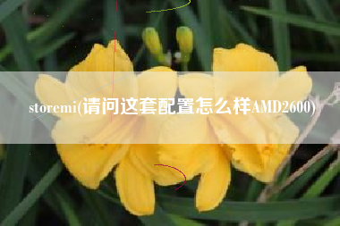 storemi(请问这套配置怎么样AMD2600)