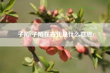 子陌(子陌在古代是什么意思)