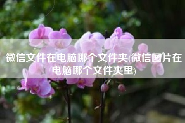 微信文件在电脑哪个文件夹(微信图片在电脑哪个文件夹里)